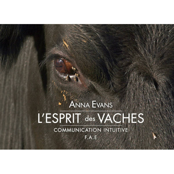 Livre l'esprit des vaches de Anna Evans